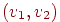 (v_{1},v_{2})