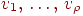 v_{1}
\dts v_{\rho}