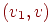 (v_{1},v)